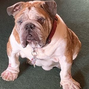 Meet your Posher, Monica